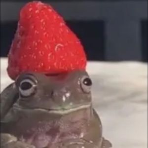 Meet your Posher, Jaylani